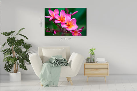 Impression sur toile - Branche de Plumeria rose tropical #E0674