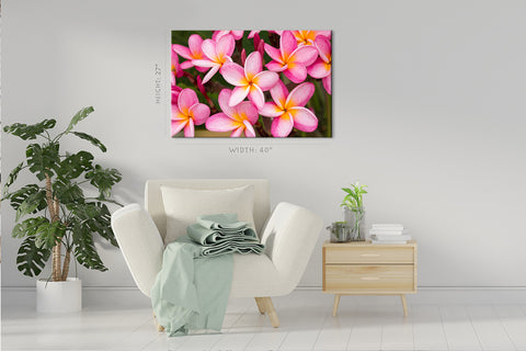 Impression sur toile - Fleurs de Plumeria rose #E0701