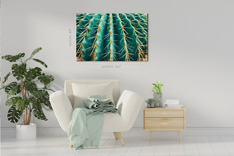 Impression sur toile - Cactus épineux #E0639