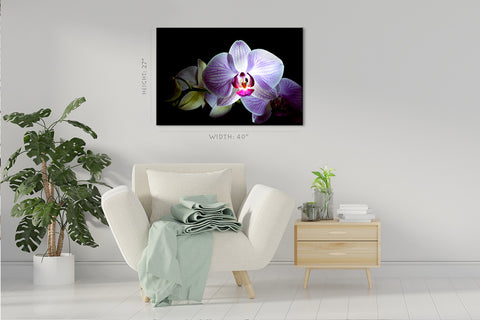 Impression sur toile - Belle fleur d'orchidée rose #E0661