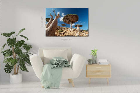 Canvas Print -  Dragon Trees And Bottle Trees, Socotra #E0966