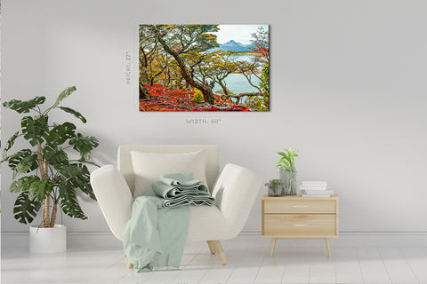 Impression sur toile - Forêt australe magique dans le parc national Tierra Del Fuego #E0967