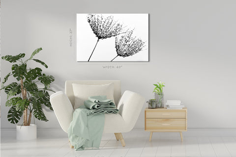 Canvas Print -  Black And White Photo With Dandelions #E0832