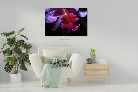 Impression sur toile - Orchidée en fleurs #E0668