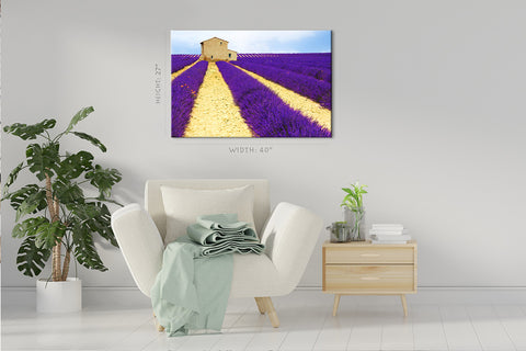 Canvas Print -  Beautiful Lavender Field #E0749