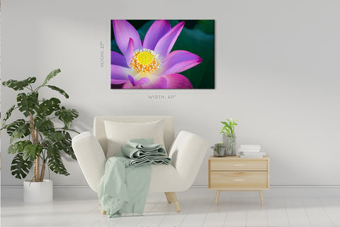 Impression sur toile - Fleur de lotus sur l'étang #E0635