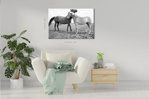 Canvas Print -  Two European Wild Horses #E0943