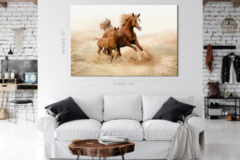 Canvas Print -  Purebred White Arabian Horses In Desert #E0939