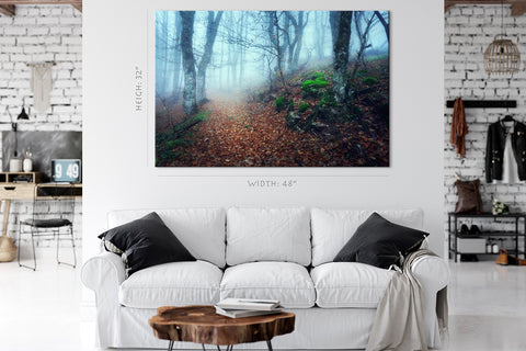 Canvas Print - Trail door een mysterieus donker oud bos in de Krim #E0130