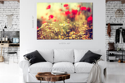 Canvas Print -  Daises At Morning #E0844