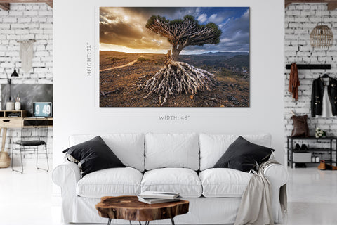 Impression sur toile - Dragon Trees At Dixam Plateau #E0959