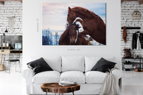 Canvas Print -  Portrait Of Two Playing Horses In Winter #E0917