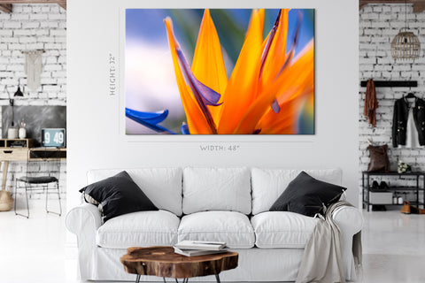 Impression sur toile - Fleur d'oiseau de paradis au coucher du soleil #E0665