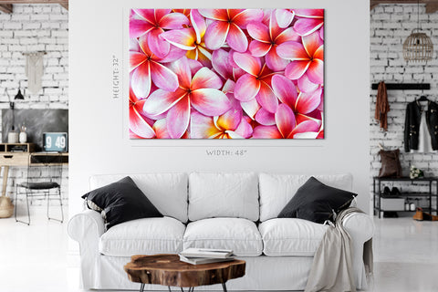 طباعة قماش - Frangipani Flowers #E0672