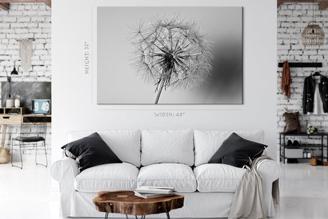 Canvas Print -  Dandelion Flower #E0814