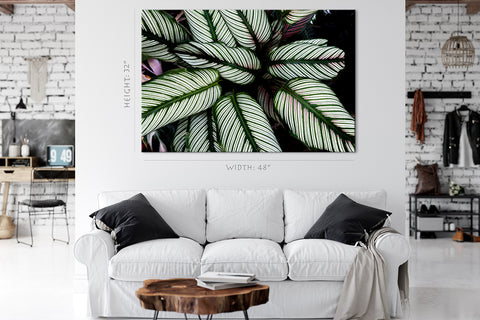 Impression sur toile - Feuilles tropicales rayées #E0634