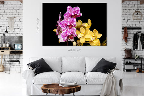 Impression sur toile - Orchidées multicolores #E0682