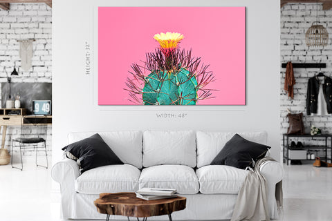 Canvas Print -  Blooming Cactus On Pink Background #E0805