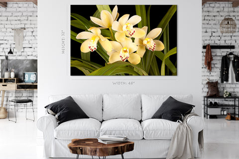 Canvas Print -  Beautiful Yellow Orchids #E0679