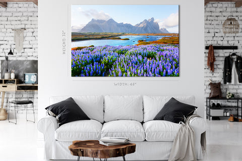 Canvas Print -  Blooming Lupines Field Near Stokksnes Mountains On Vestrahorn Cape, Iceland #E0587