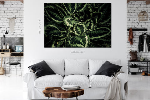 Canvas Print -  Tropical Green Leafs #E0821