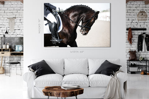 Canvas Print -  Portrait Of Sports Horse #E1020