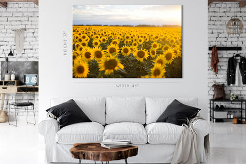 Canvas Print -  Golden Field Of Sunflowers #E0724