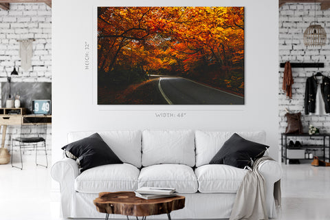 キャンバスプリント - 秋に秋の葉の木で裏打ちされた影の道路＃e0135