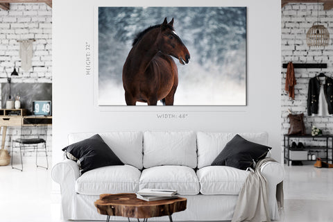 Canvas Print -  Beautiful Bay Horse In Winter #E0957