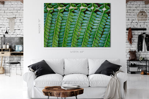 Canvas Print -  Fern Leaf #E0689