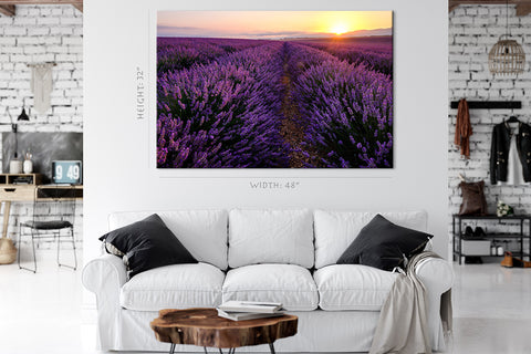 Canvas Print -  Lavender Field At Sunrise #E0785