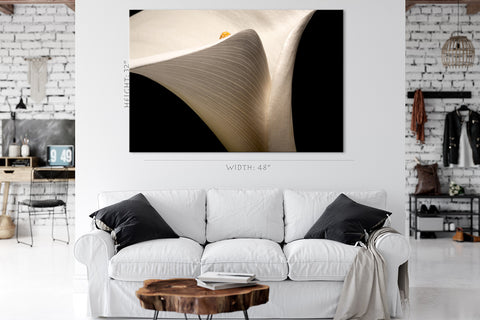 Canvas Print -  White Arum Lily #E0687