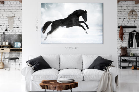 Canvas Print -  Black Horse In Winter #E0955