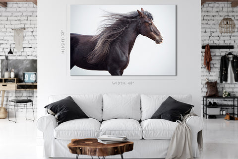 Impression sur toile - Portrait de cheval de trait #E0918