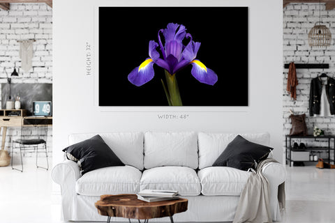 Impression sur toile - Iris violet #E0681