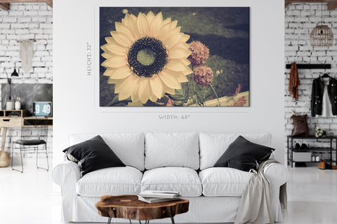 Impression sur toile - Tournesol vintage #E0869