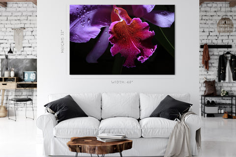 Impression sur toile - Orchidée en fleurs #E0668