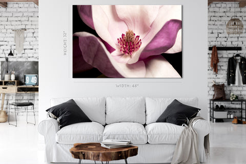 Canvas Print -  Light Pink Magnolia #E0693