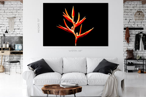 Impression sur toile - Belle fleur orange #E0655