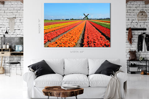 Impression sur toile - Tulipes colorées #E0750