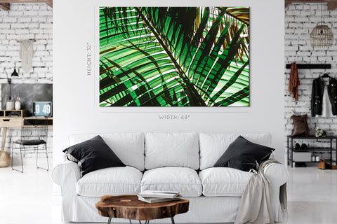 Canvas Print -  Green Palm Branch At Morning #E0725