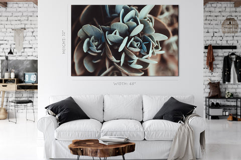 Canvas Print -  Green Succulent Plant #E0717