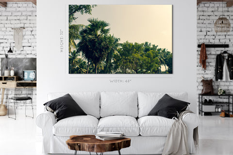 Canvas Print -  Palm Trees, Neem And Coconut Trees #E1004
