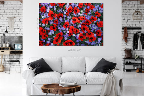 Impression sur toile - Champ de tulipes rouges et de fleurs violettes #E0671