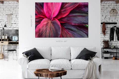 Impression sur toile - Feuilles de Spathiphyllum Cannifolium #E0646