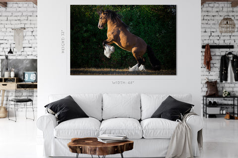 Canvas Print -  Chestnut Draft Rear Horse #E0953