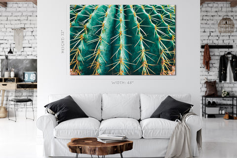 Impression sur toile - Cactus épineux #E0639