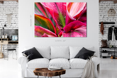 Canvas Print -  Crimson Bromeliad Flower #E0670