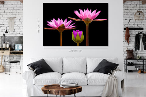 Canvas Print -  Incredible Water Lilies #E0667