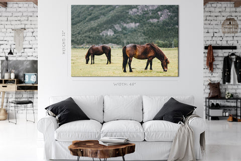 Canvas Print -  Two Horse In The Field #E0907